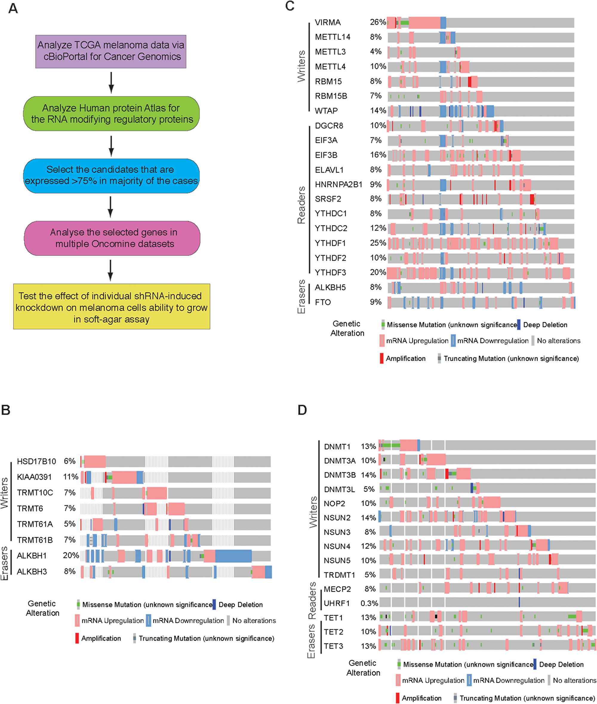 Figure 1: Analysis of m1A, m6A and m5C RNA modification regulatory proteins in melanoma.