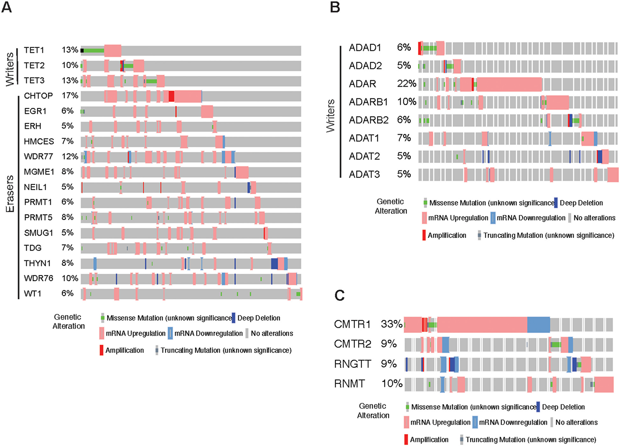 Analysis of hm5C, Inosine and other RNA modification regulatory proteins in melanoma.