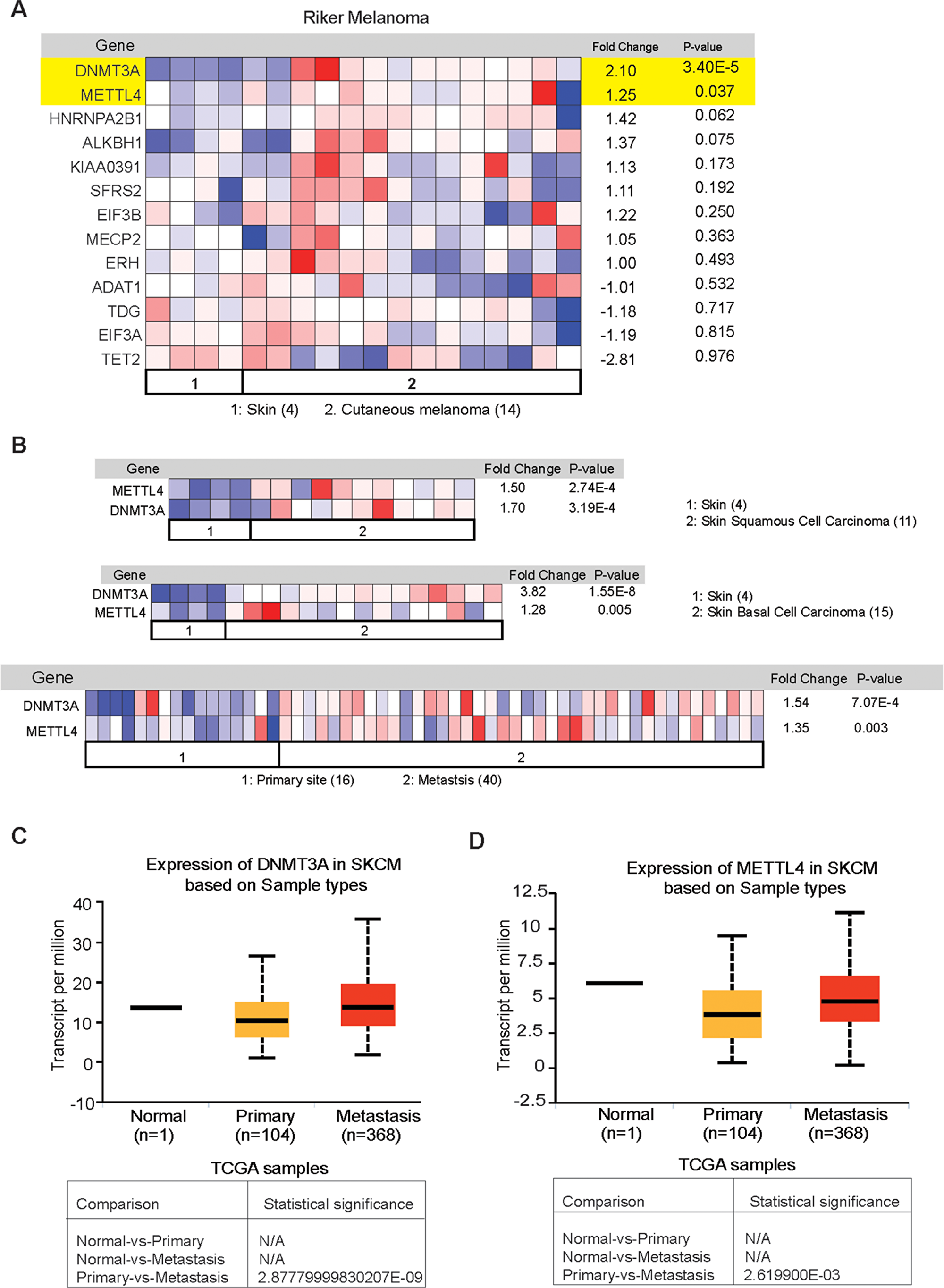 Analysis of expression of RNA modification regulatory proteins in melanoma using The Oncomine dataset.