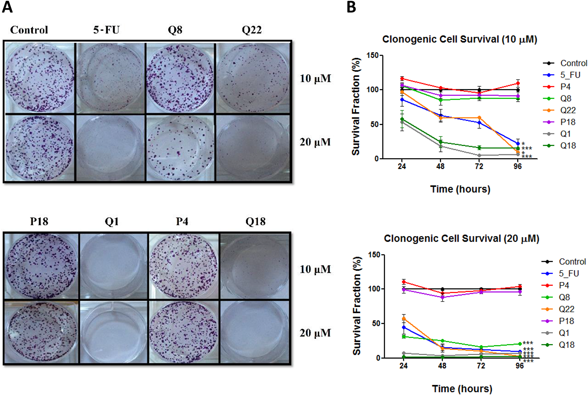 Quininib analogues reduce HT29-Luc2 colony formation.