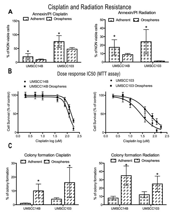 Cisplatin and radiation resistance.