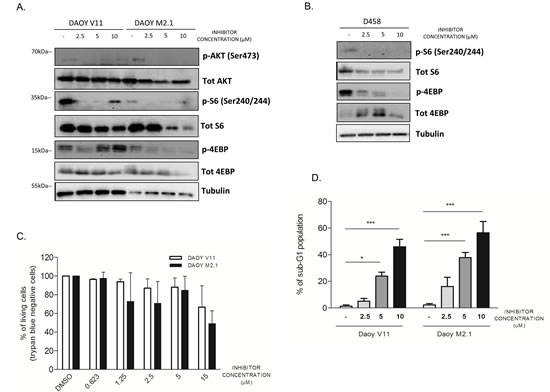 PCTK1 inhibition alters Akt/mTOR pathway in c-Myc hallmarked MB cell lines.