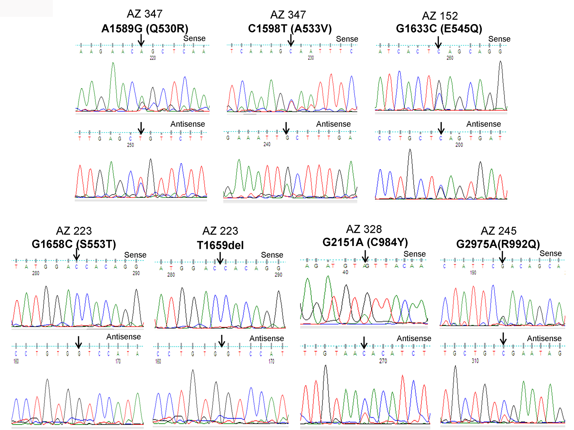 Identification of PIK3CA mutations in pediatric and adult DTCs.