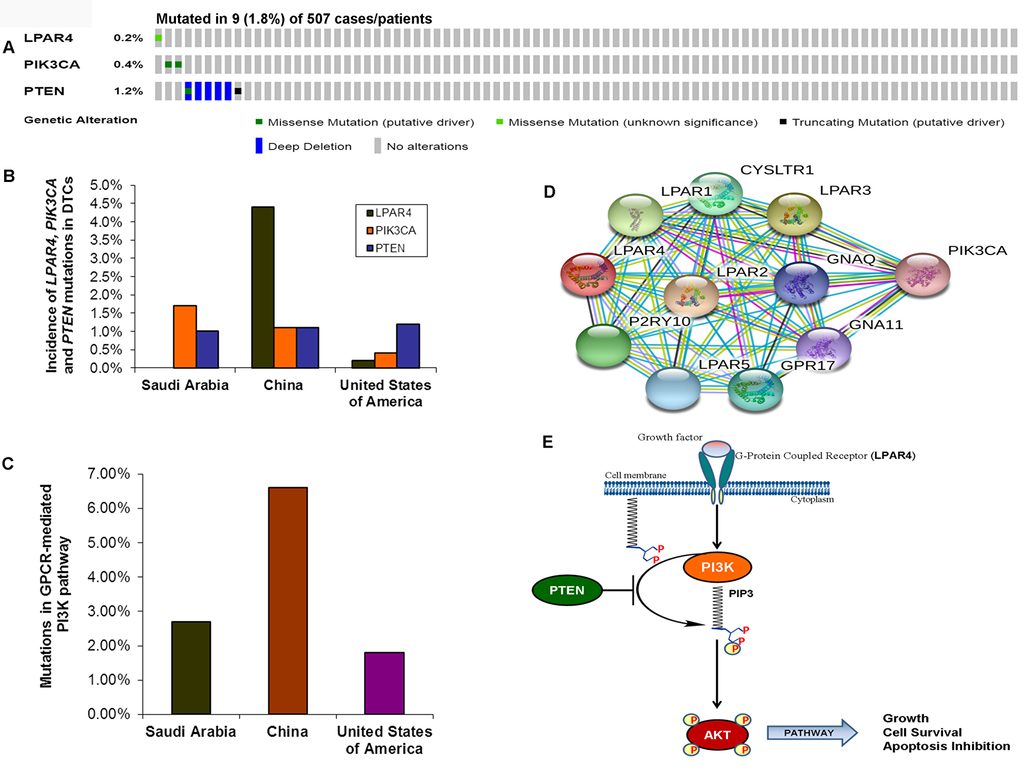 Prevalence of GPCR-mediated PI3K pathway mutations in DTCs.