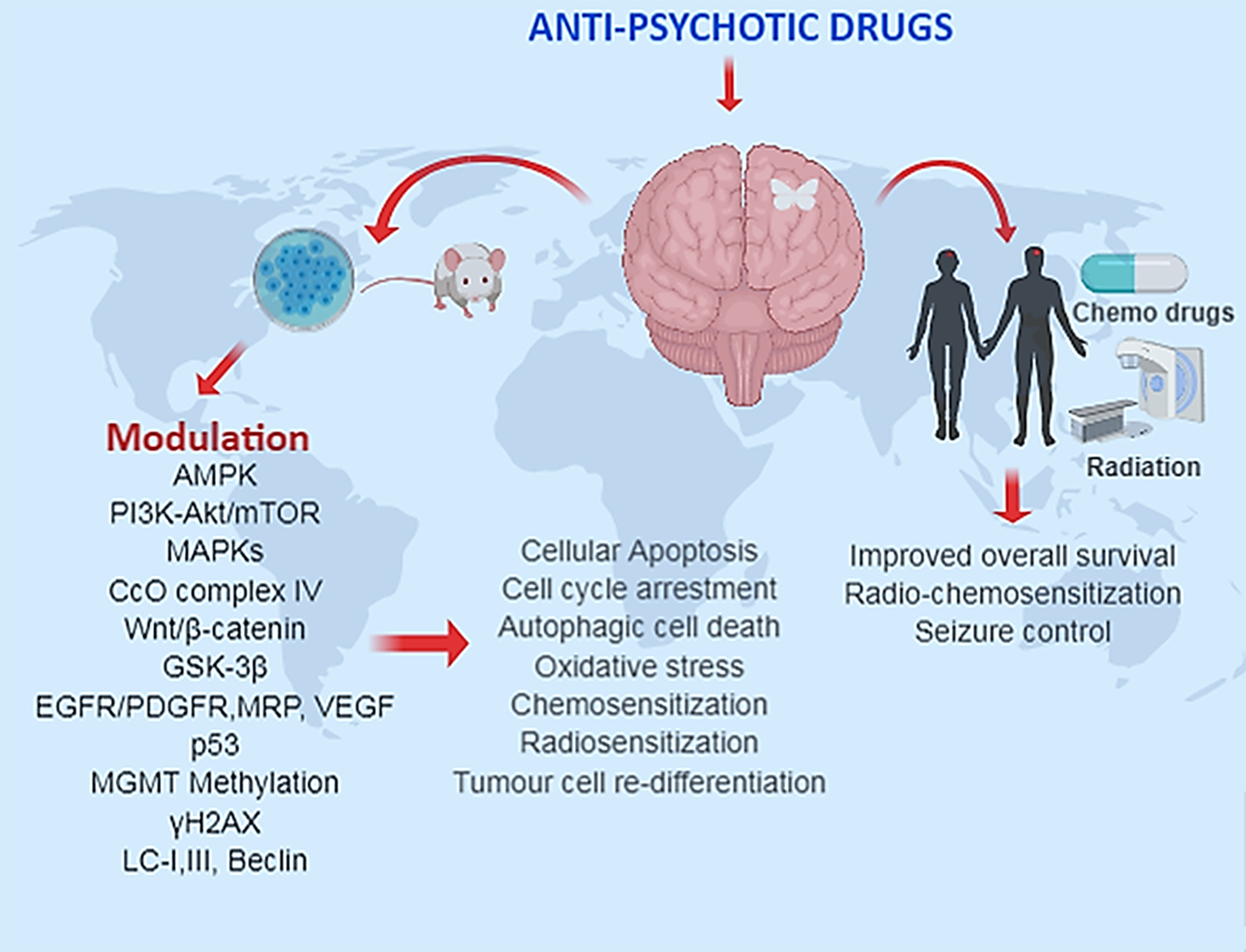 The summarized use of anti-psychotic drugs in preclinical and clinical glioma studies.
