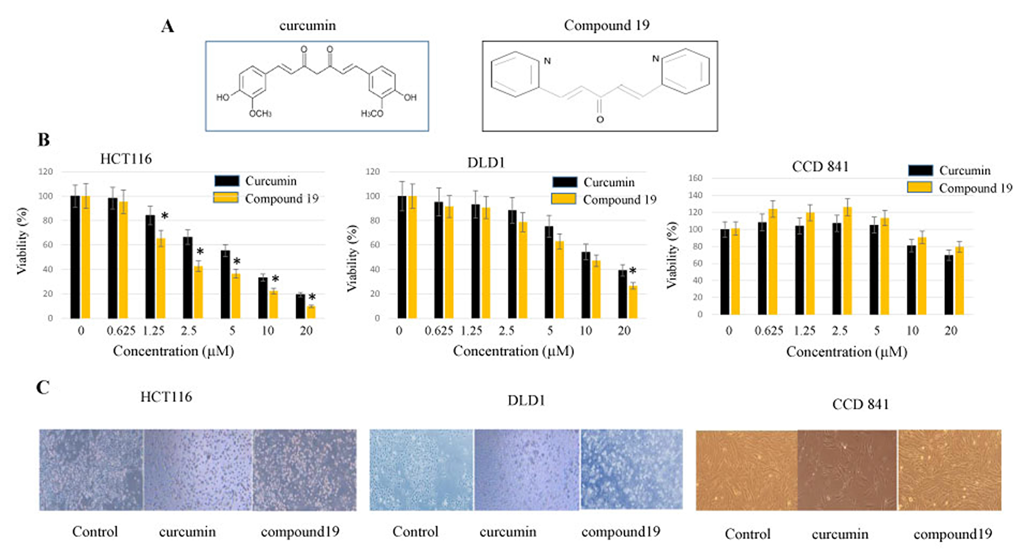 Anti-proliferative effects of curcumin and compound 19 on the human colorectal cancer cell lines HCT116 and DLD1.