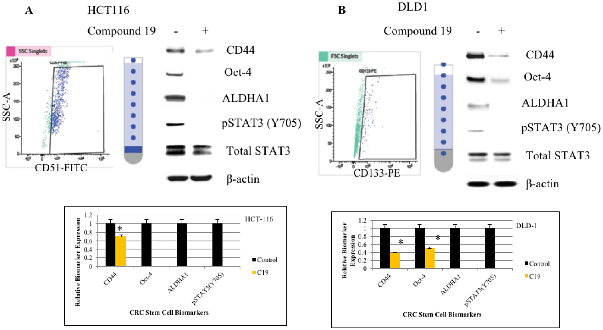 FACS cell sorting of HCT116 and DLD1 and western analyses of cancer stem cell biomarkers.