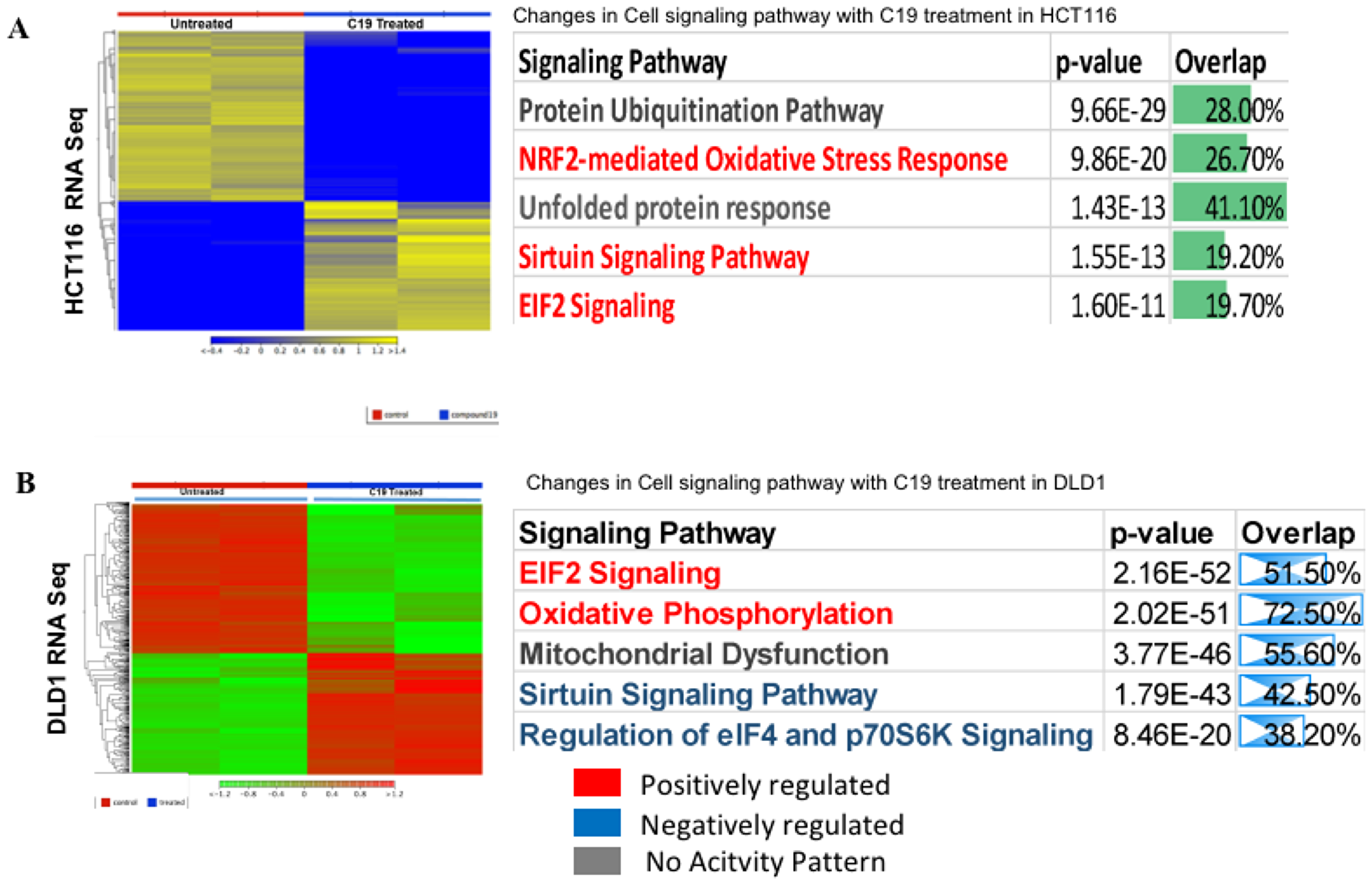 RNA-sequencing heat map and ingenuity pathway analysis.