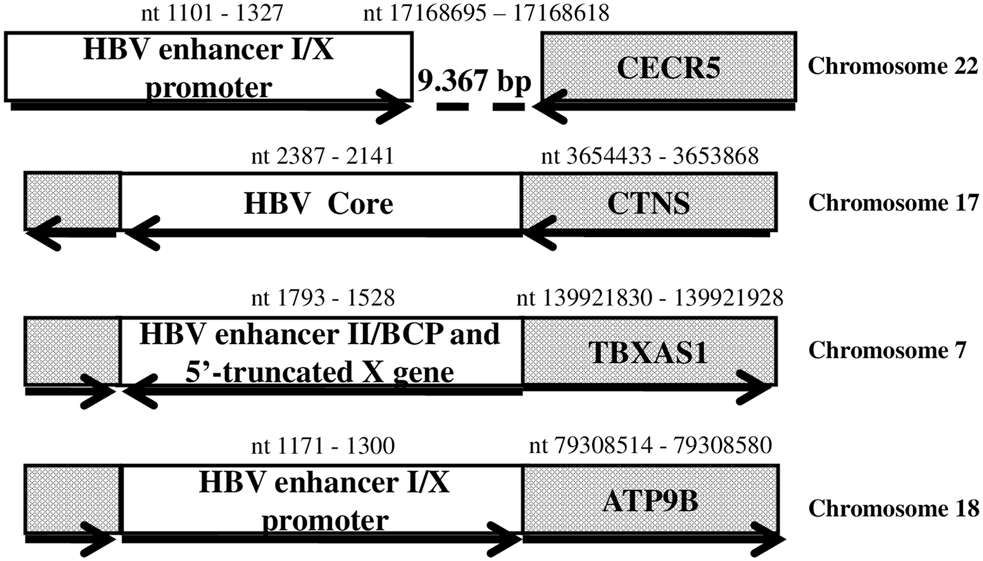 HBV DNA integrations detected in tumour samples from patients with intrahepatic cholangiocarcinoma.