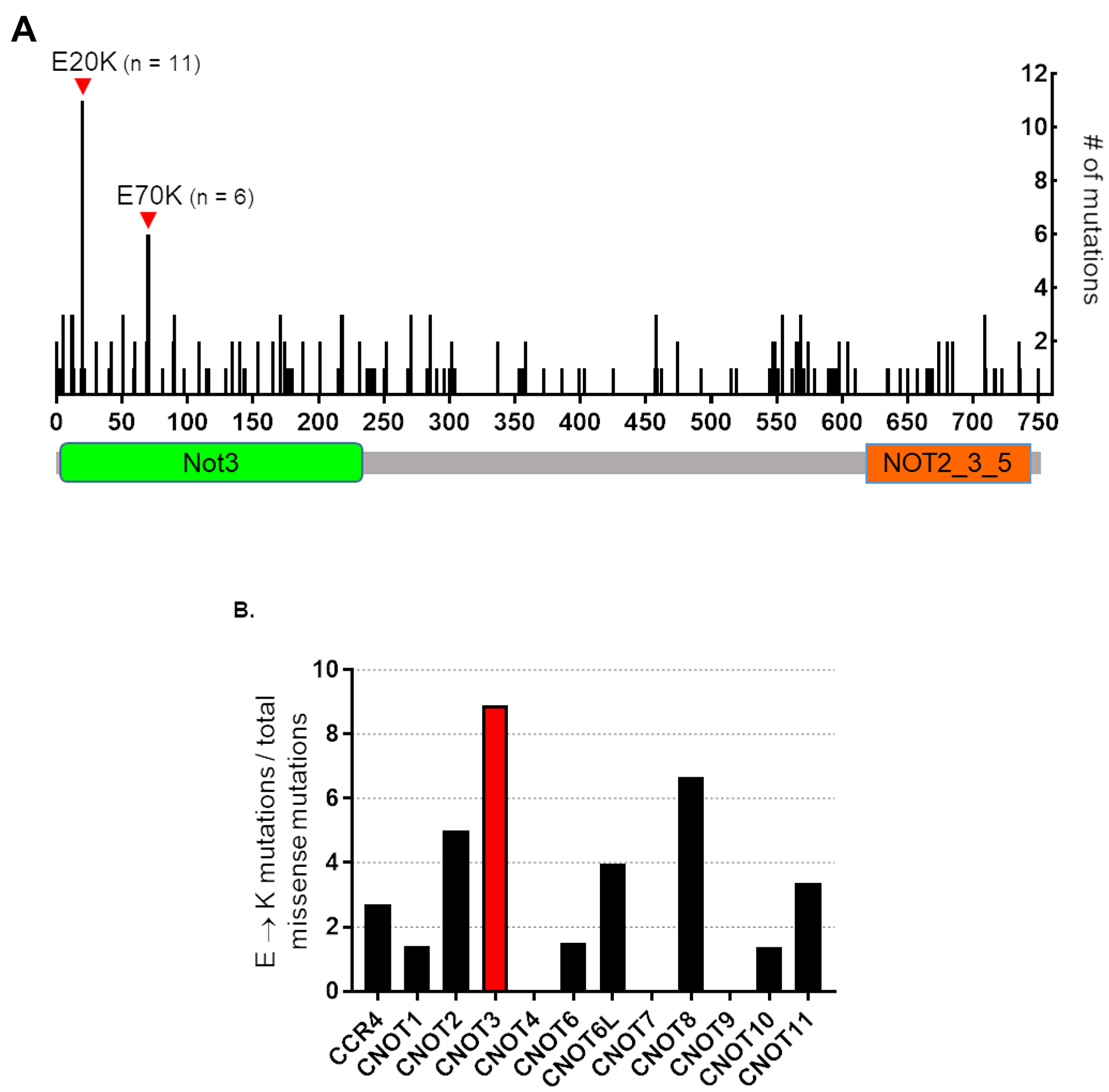 Human CNOT3 E to K mutations in cancer.
