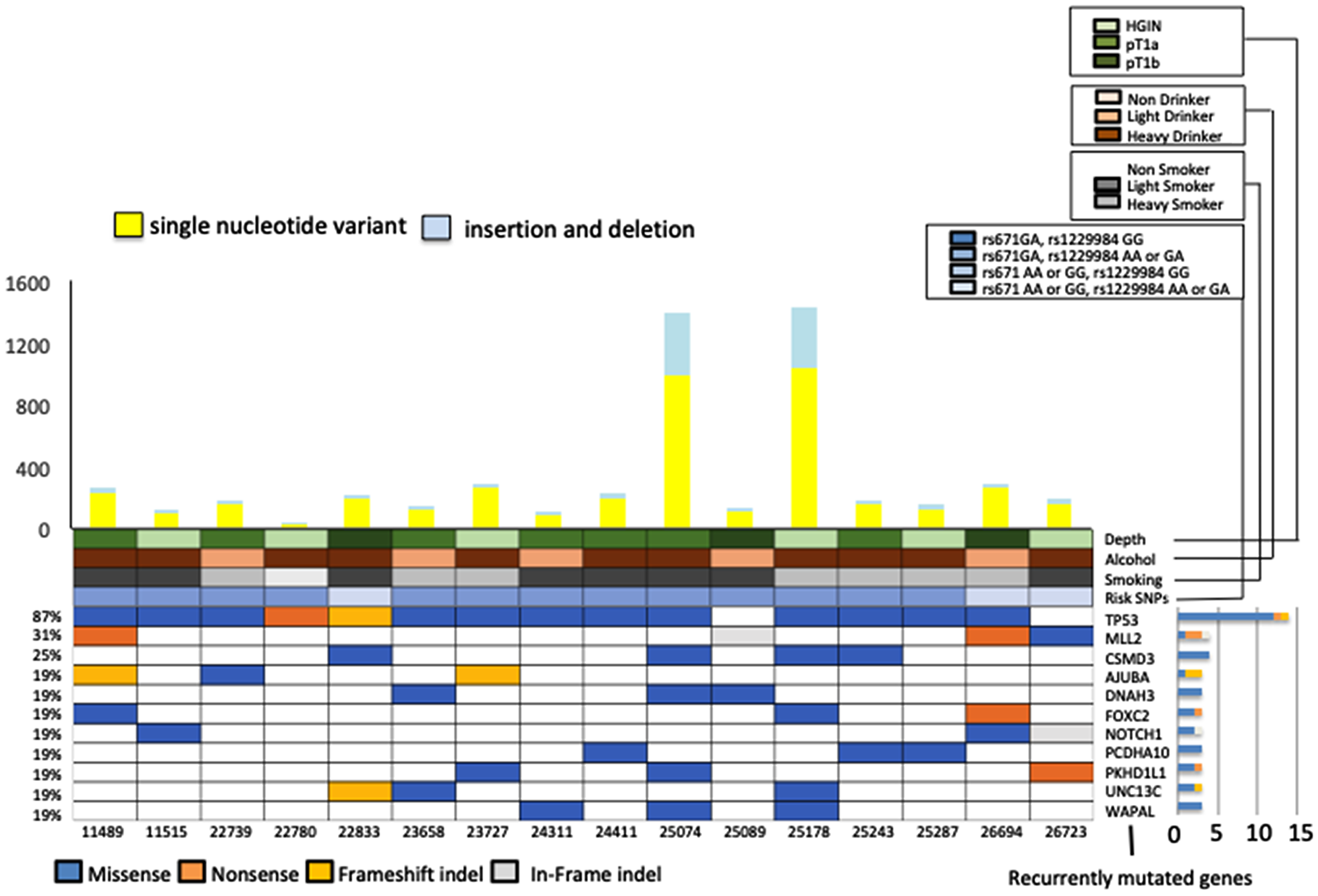 Representative exonic somatic mutations in 16 early-stage esophageal squamous cell carcinoma (ESCC) samples (High-grade intraepithelial neoplasm 6, T1a 7, T1b 3 samples).