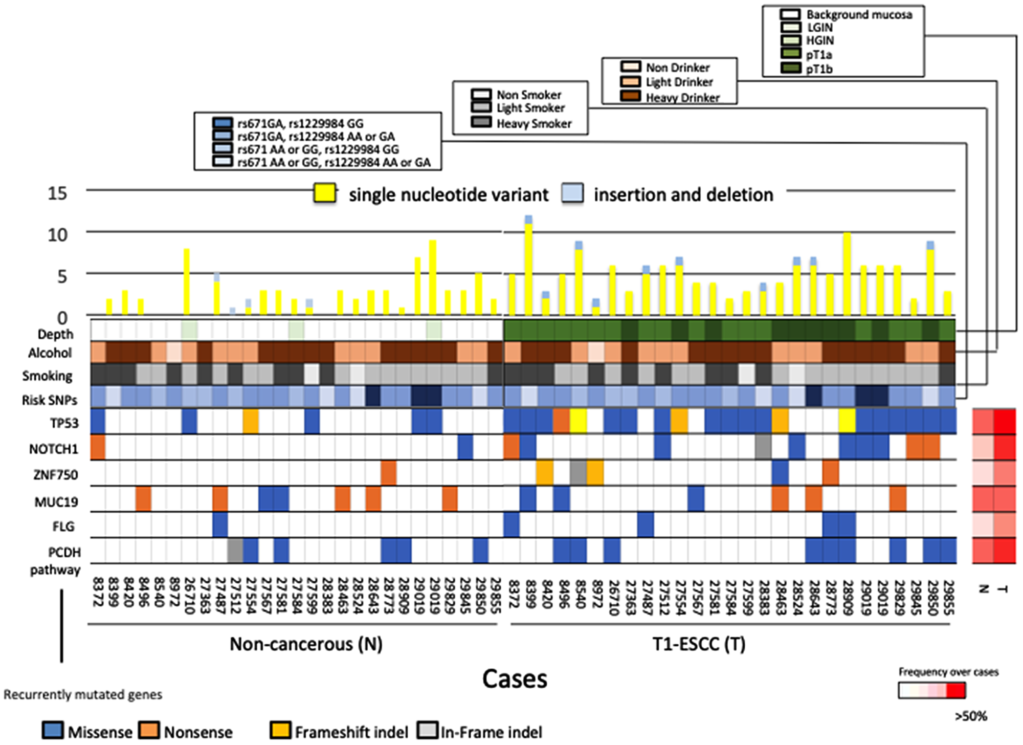 Mutational landscapes in carcinoma tissues and non-cancerous tissues of 26 ESCC patients.