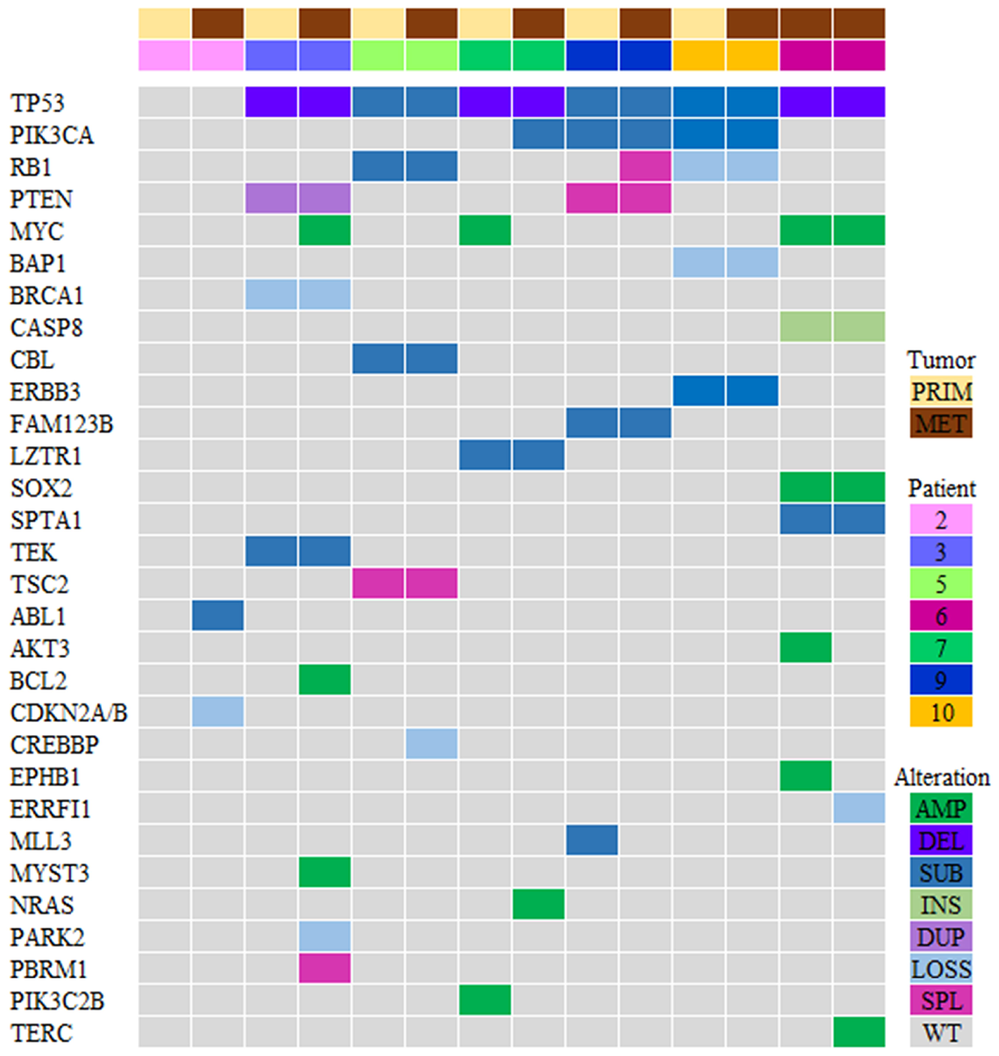 Genomic profiling of the PI3K pathway genes in TNBC (N = 7 patients).