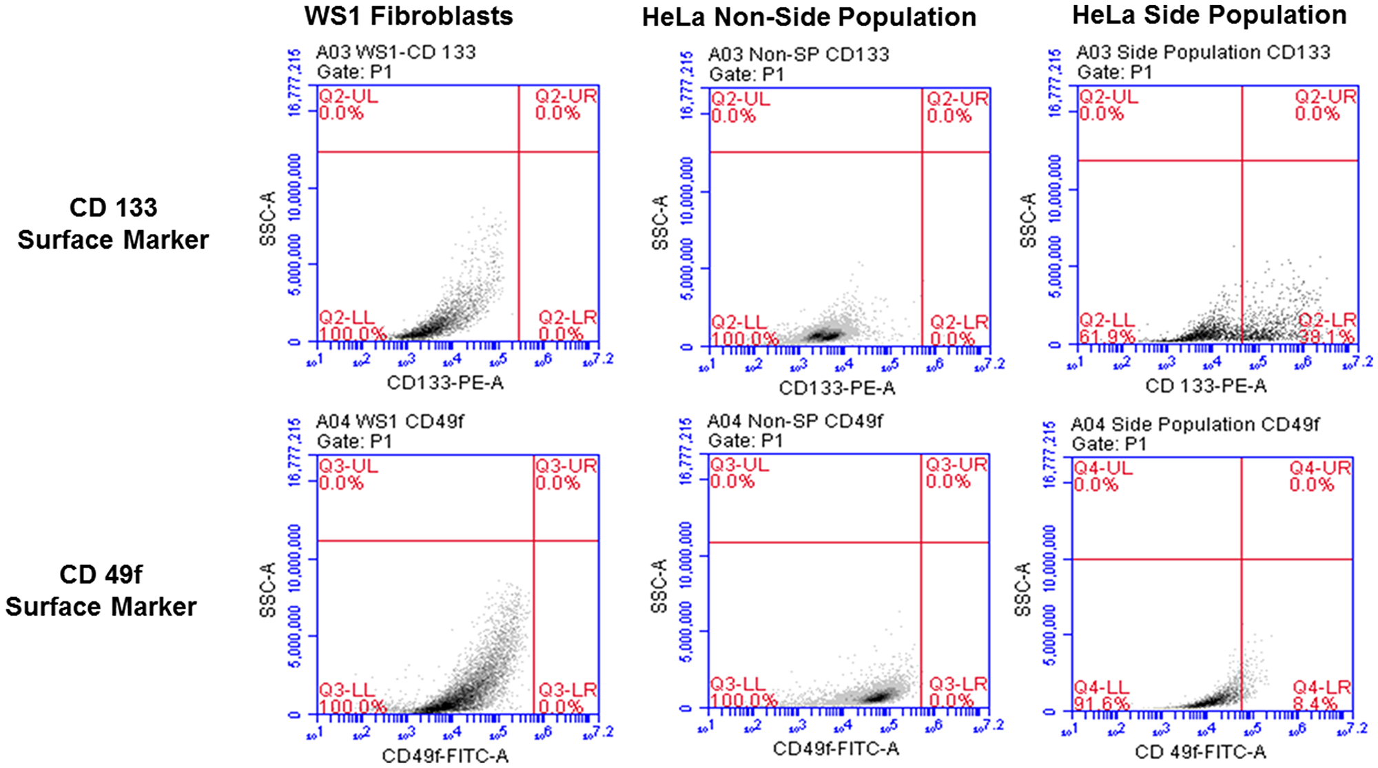 Flow cytometric analysis of cervical side population cells showing surface markers with 38.1% positive for CD133 and 8.4% positive of CD49f. The non-side population as well as the negative control, WS1 fibroblast were negative for both markers.