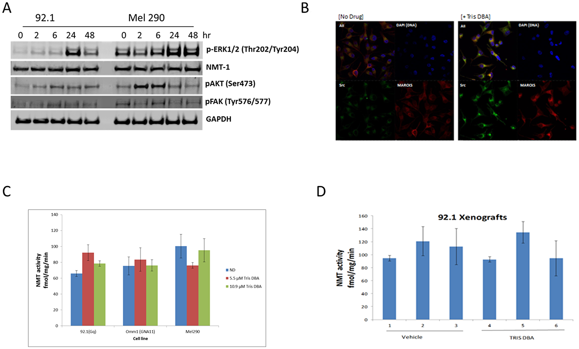 Tris DBA inhibits uveal melanoma tumor growth independent of NMT1.