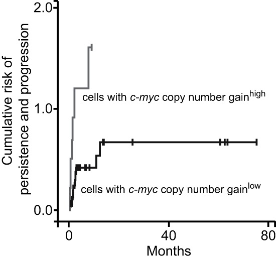 Copy numbers of c-myc are useful for risk prognostication in dysplastic lesions.