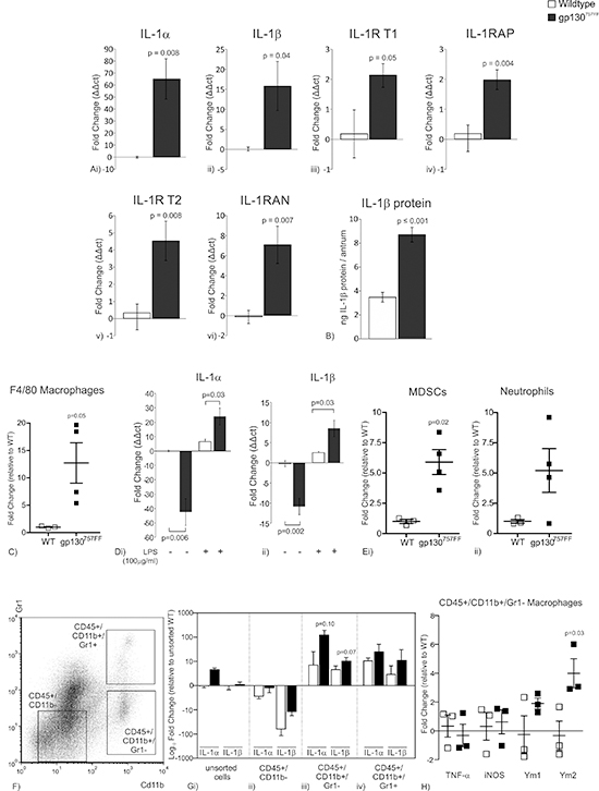 mRNA expression of IL-1RT1 ligands and associated proteins in the distal stomach of 30 week old gp130757FF compared to wildtype mice.