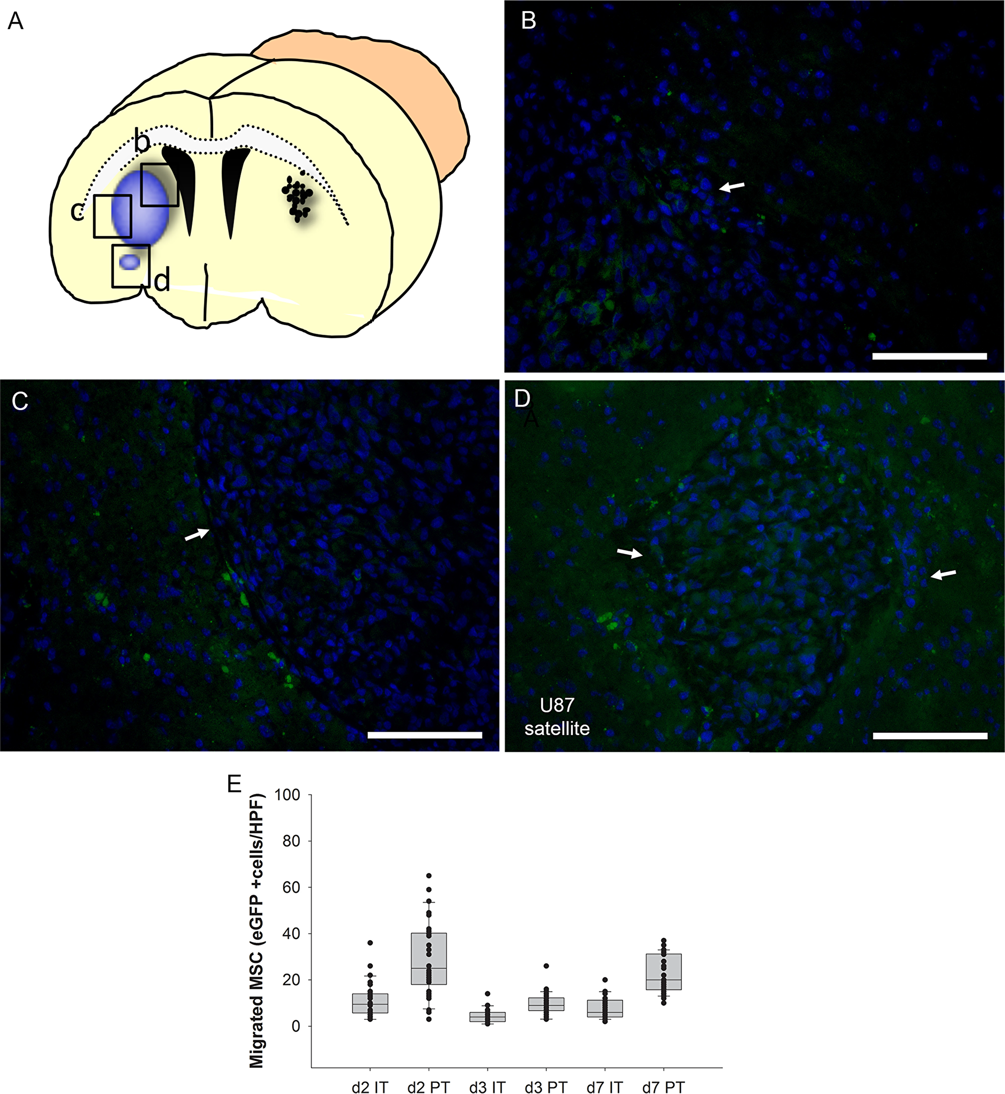 Figure 5: