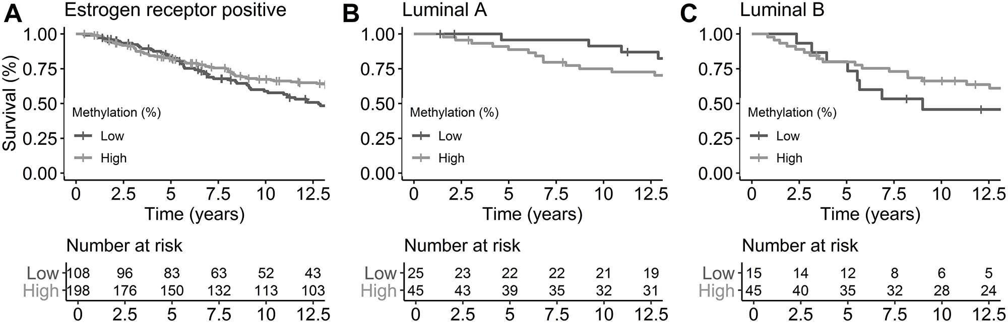 Breast cancer-specific survival by ER status and subtypes by miR-190b methylation status.