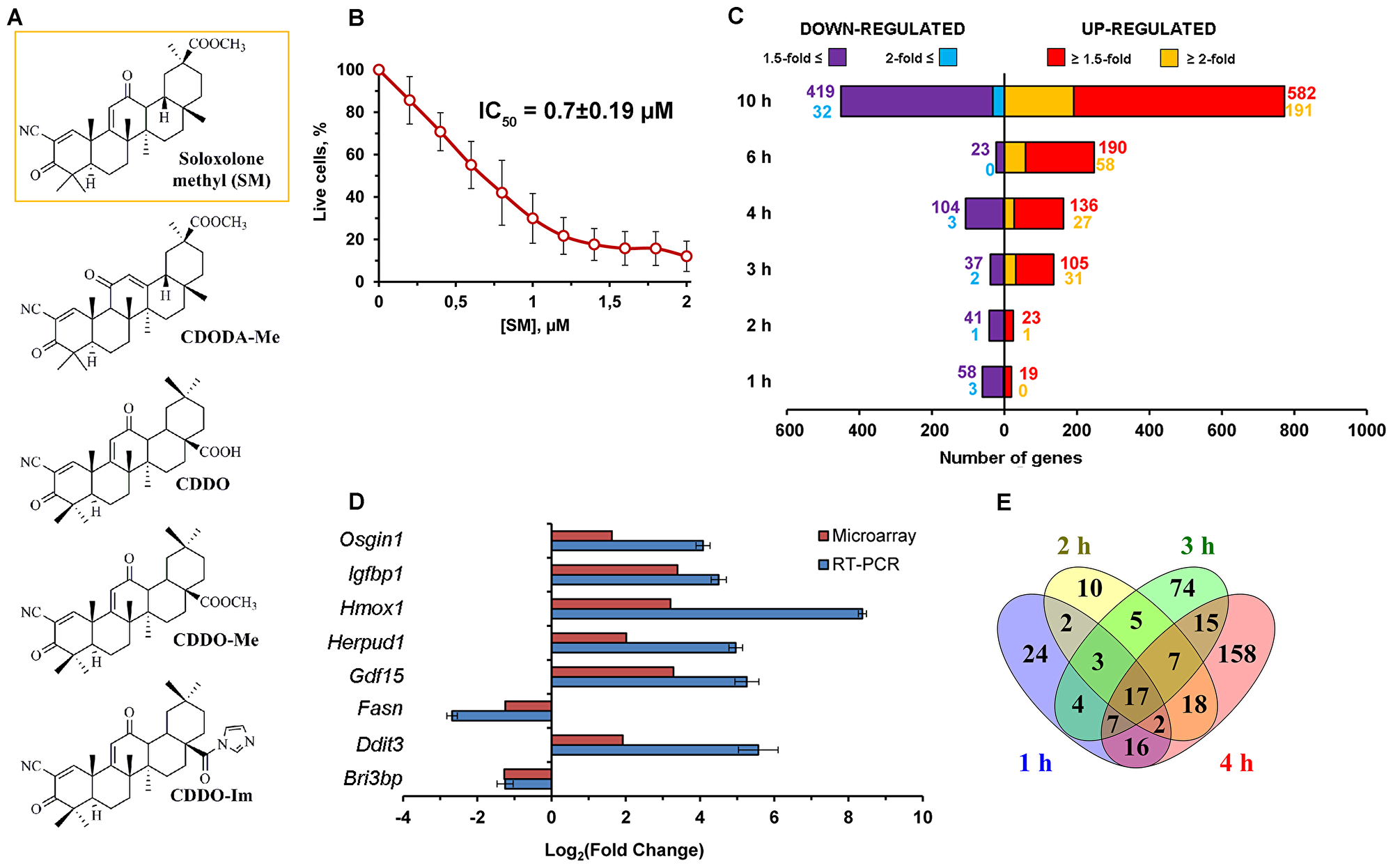 Effect of SM on transcriptome of KB-3-1 human cervical carcinoma cells.