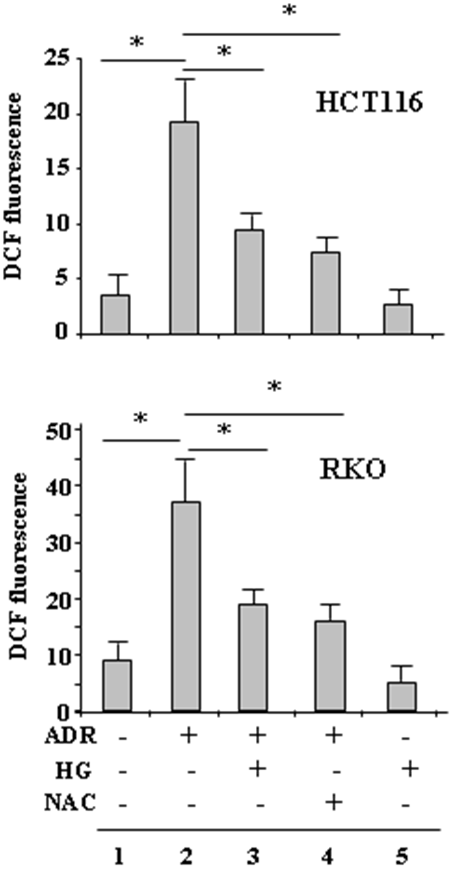 HG reduces ADR-induced ROS generation.