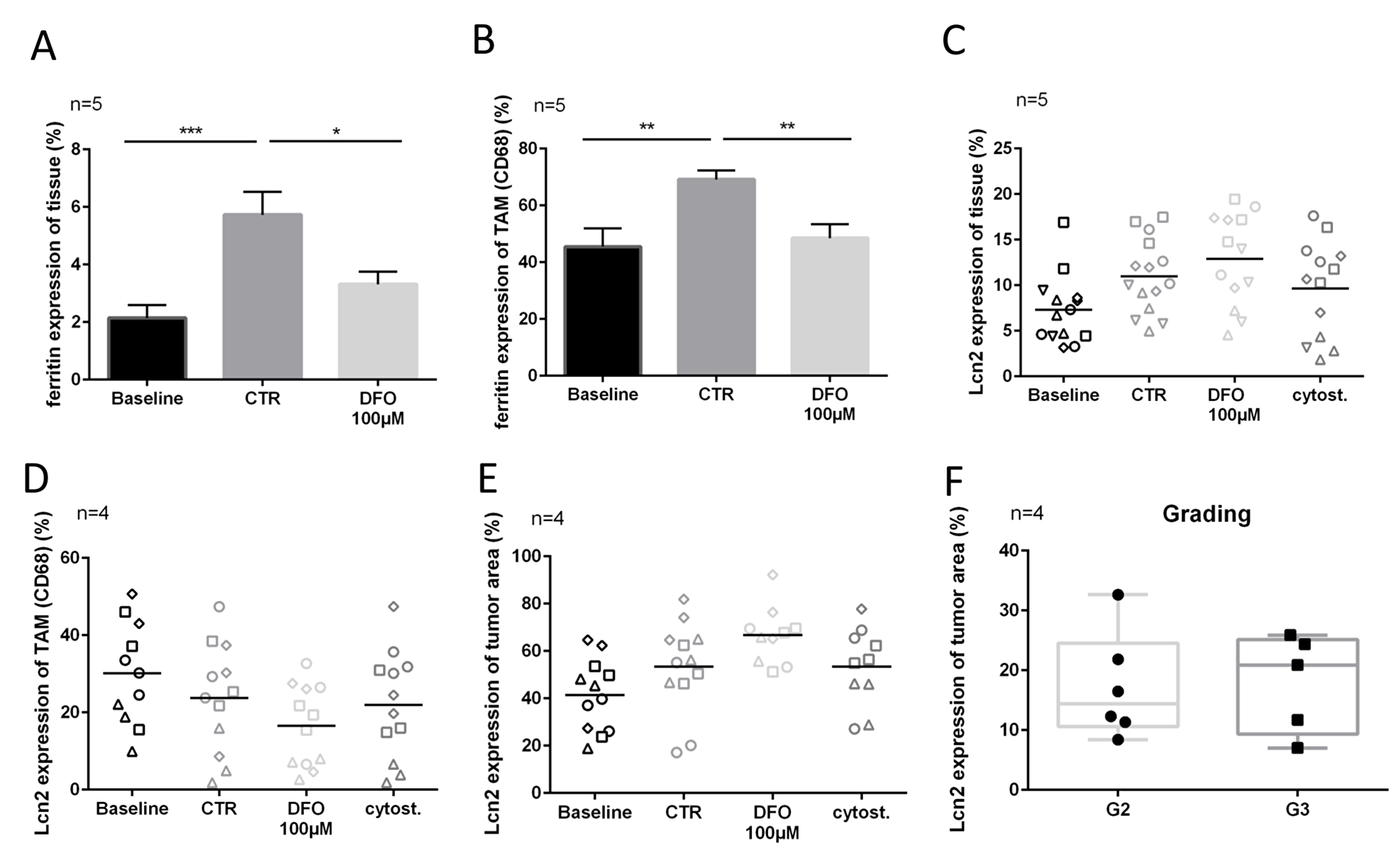 Lcn2 and ferritin expression after chelation therapy.