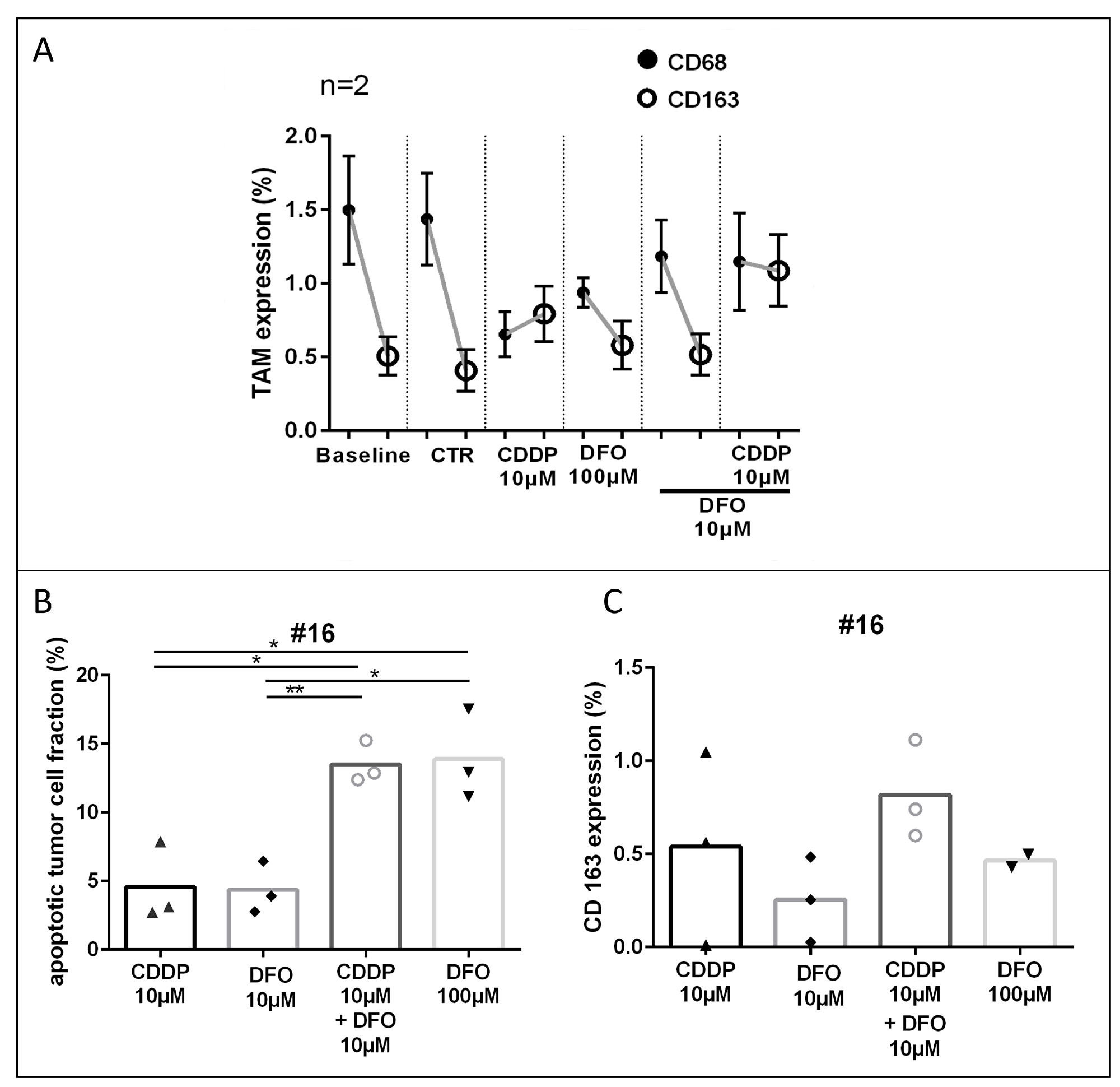 TAM-phenotype expression after cisplatin and DFO treatment.