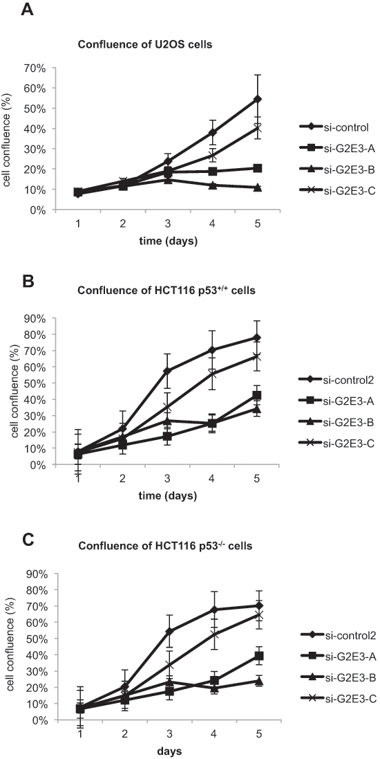 Depletion of G2E3 decreases the proliferation rate of cancer cells.