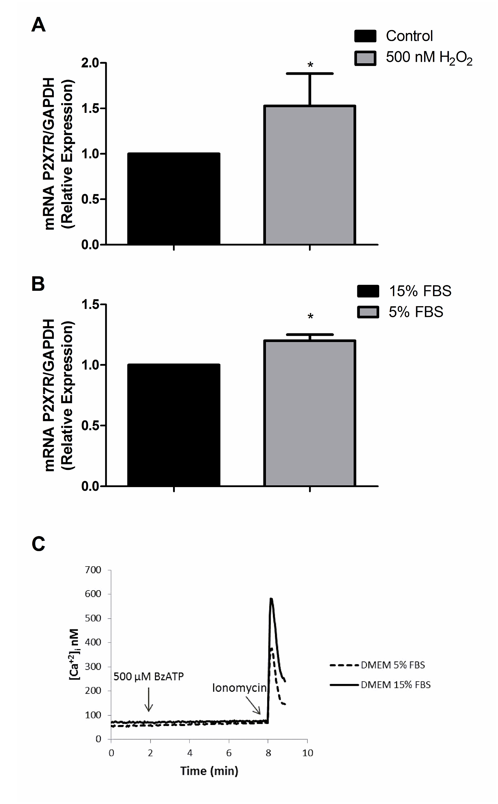 P2X7R mRNA expression after exposure to H2O2 and 5% FBS DMEM.