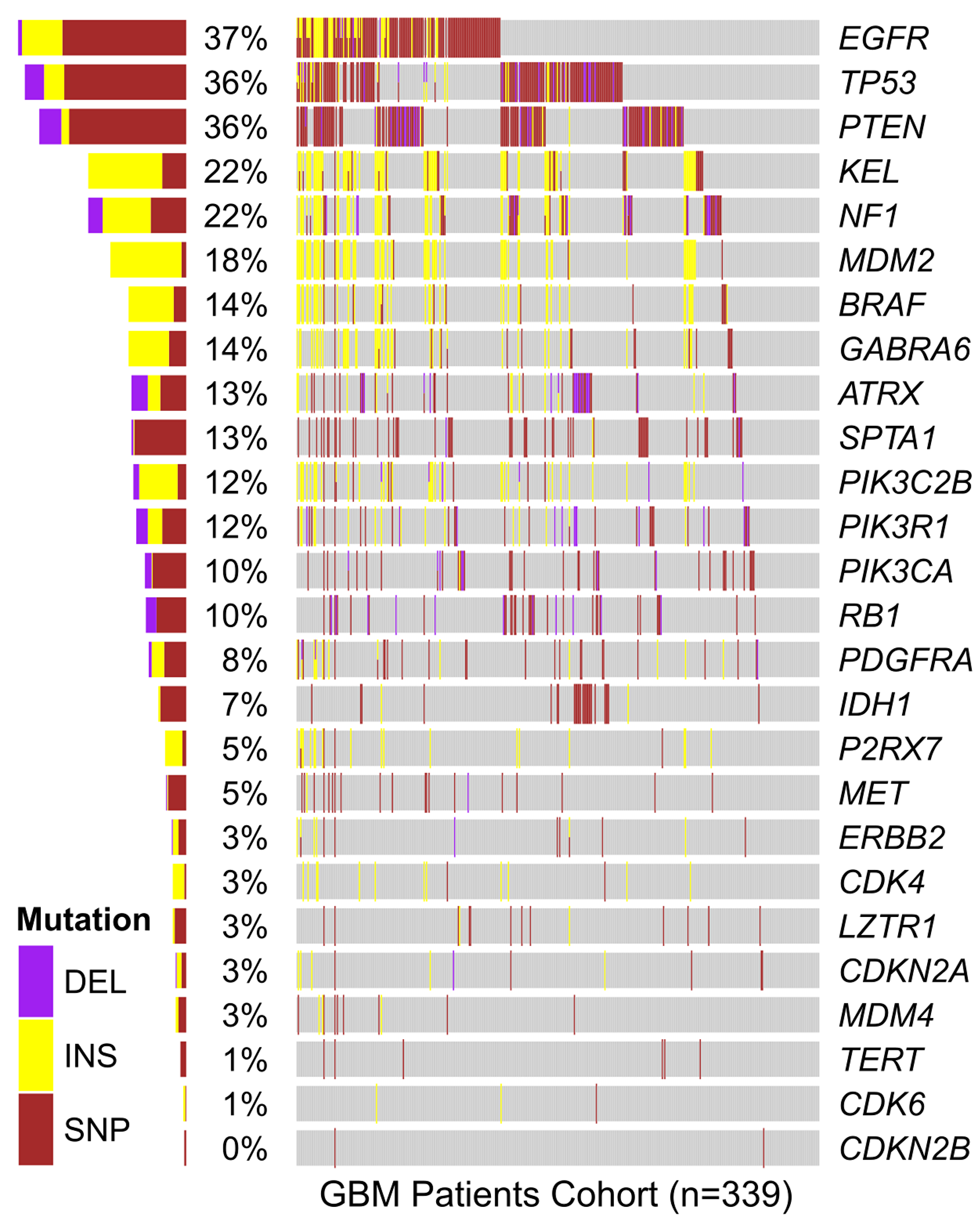 In silico analysis of genetic mutations found in GBM samples from the TCGA cohort.