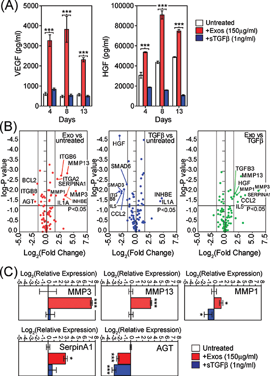 Phenotypic changes in exosome-differentiated BM-MSCs.