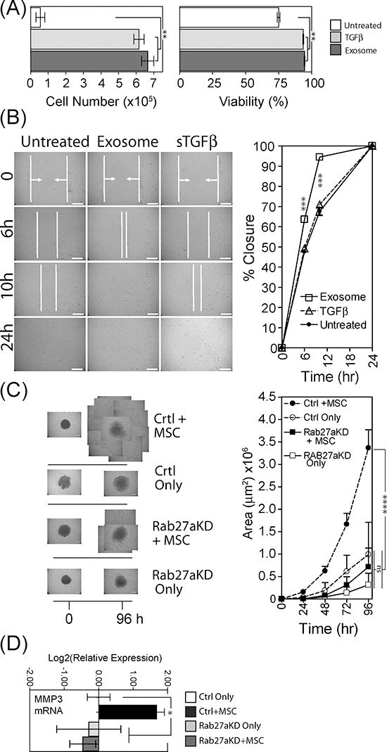 Tumour-growth promoting functions of exosome-differentiated BM-MSC.