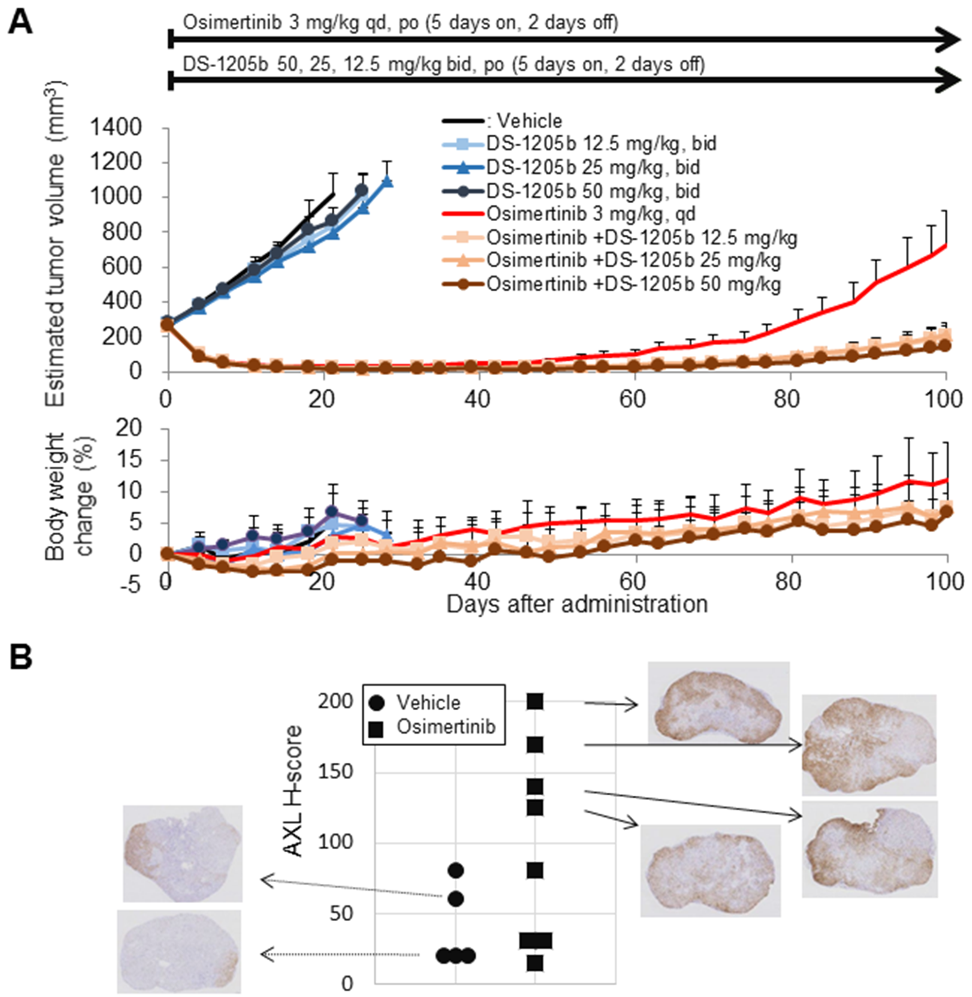 DS-1205b delays osimertinib-acquired resistance in an HCC827 sc xenograft model, and the underlying mechanism.