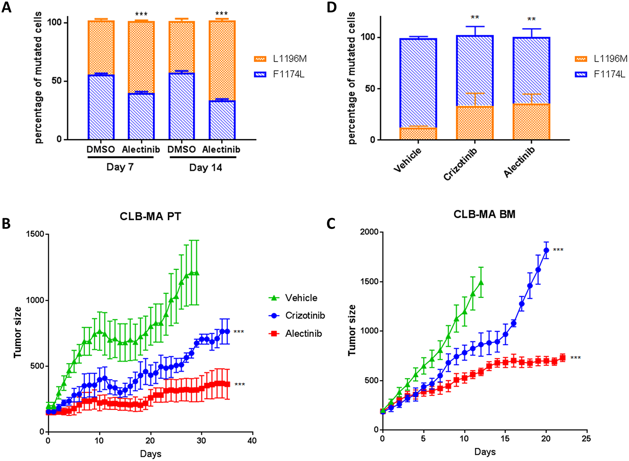 Sensitivity of ALK F1174L and L1196M mutations to ALK inhibitors in vitro and in vivo.