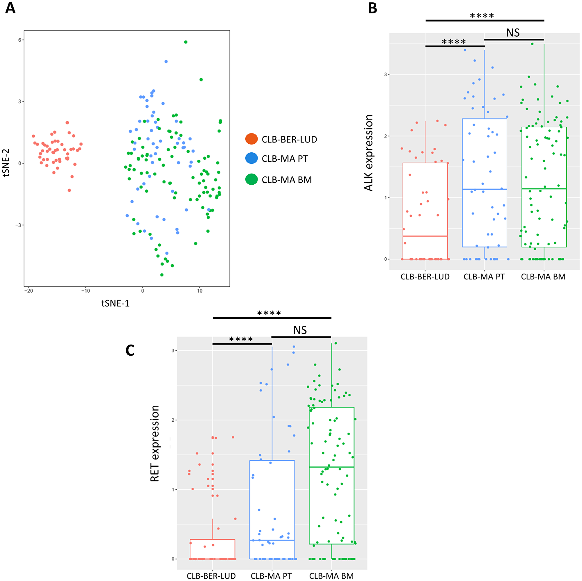 Single-cell RNA-seq analysis on CLB-MA PT and CLB-MA BM cell lines.