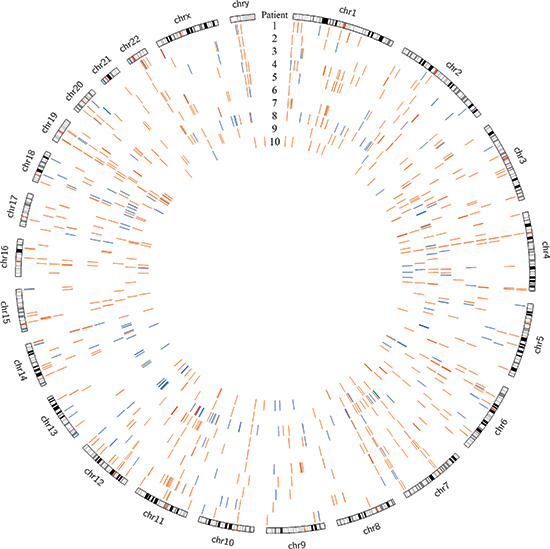 Genomic deletions in HCC (blue) and FL-HCC (orange) across ten patients each, demonstrating distinct mutational spectra.