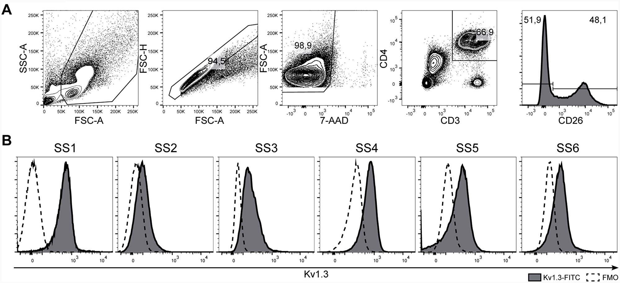 Kv1.3 is expressed in malignant cells from SS patients.