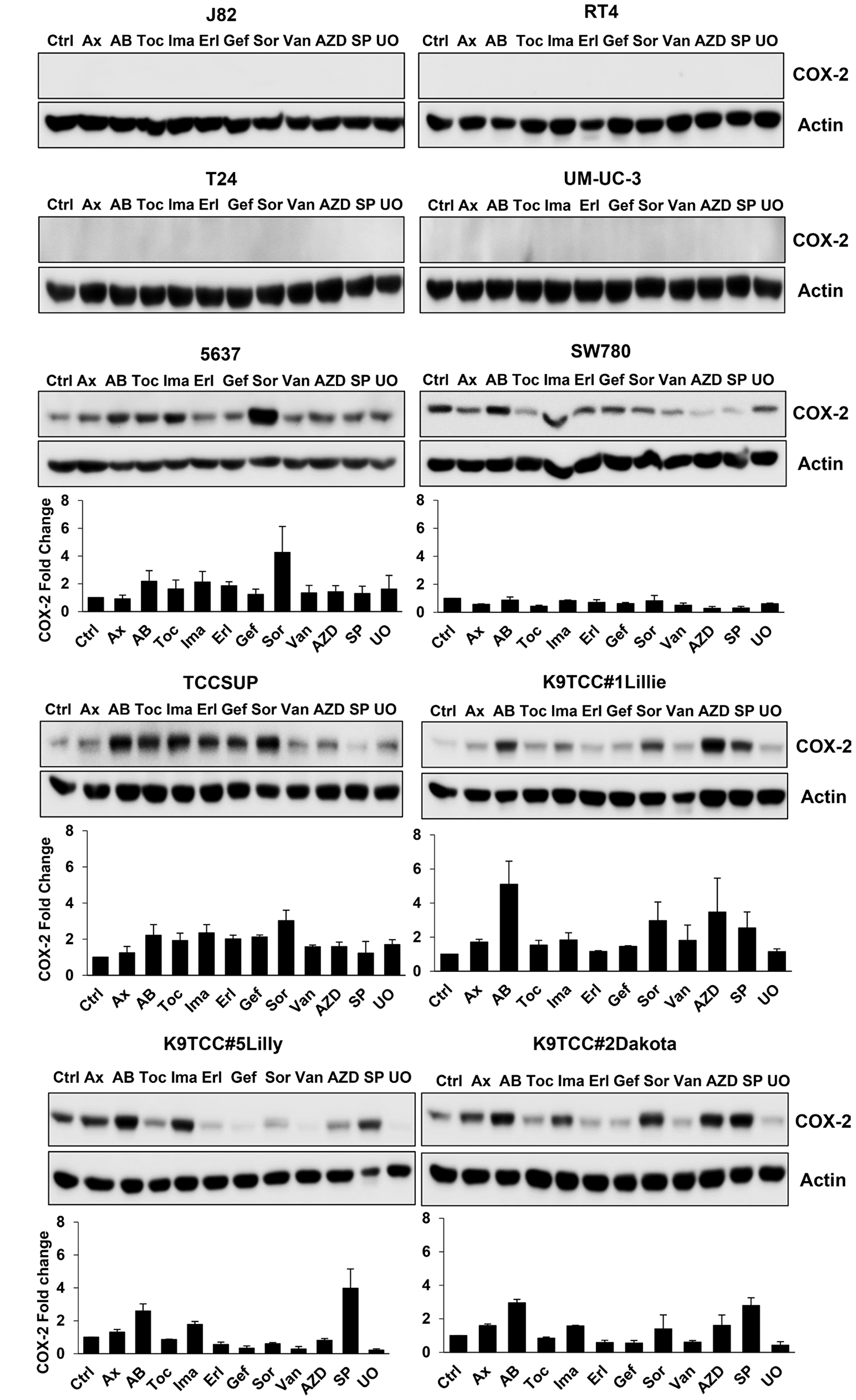 RTKIs and TKIs increased COX-2 expression in six out of ten tested bladder cancer cells.