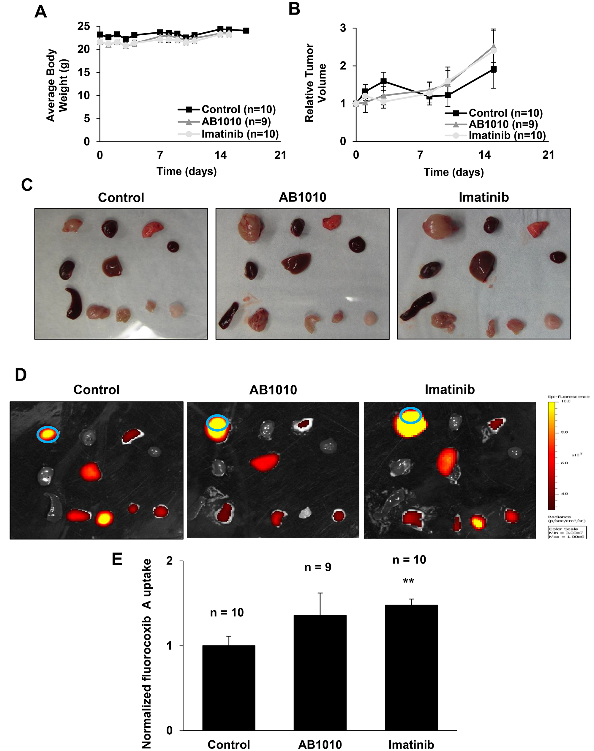 RTKIs-induced COX-2 expression in K9TCC#5Lilly xenograft tumors detected by fluorocoxib A uptake.