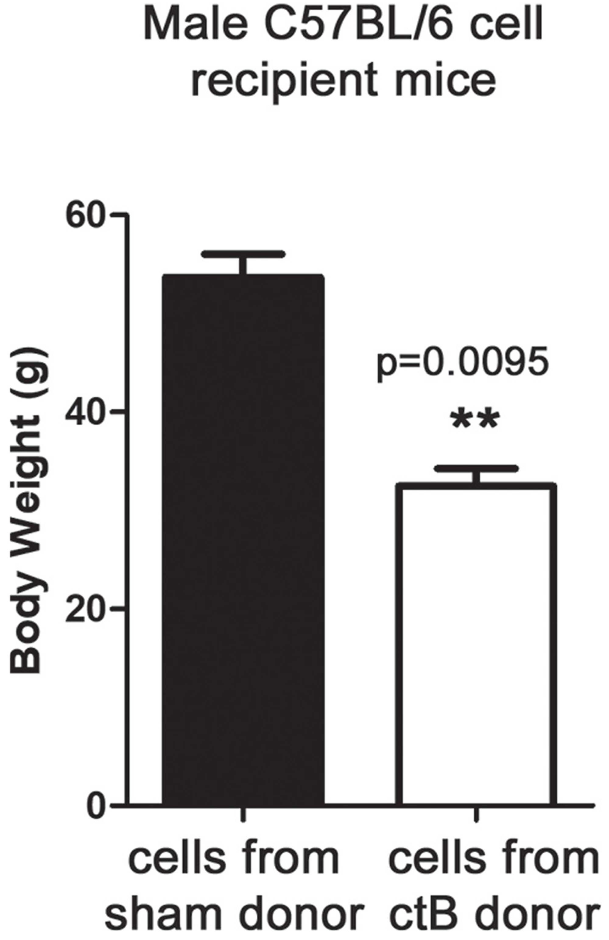 ctB control of age-associated increase of body weight is mediated by immune cells.