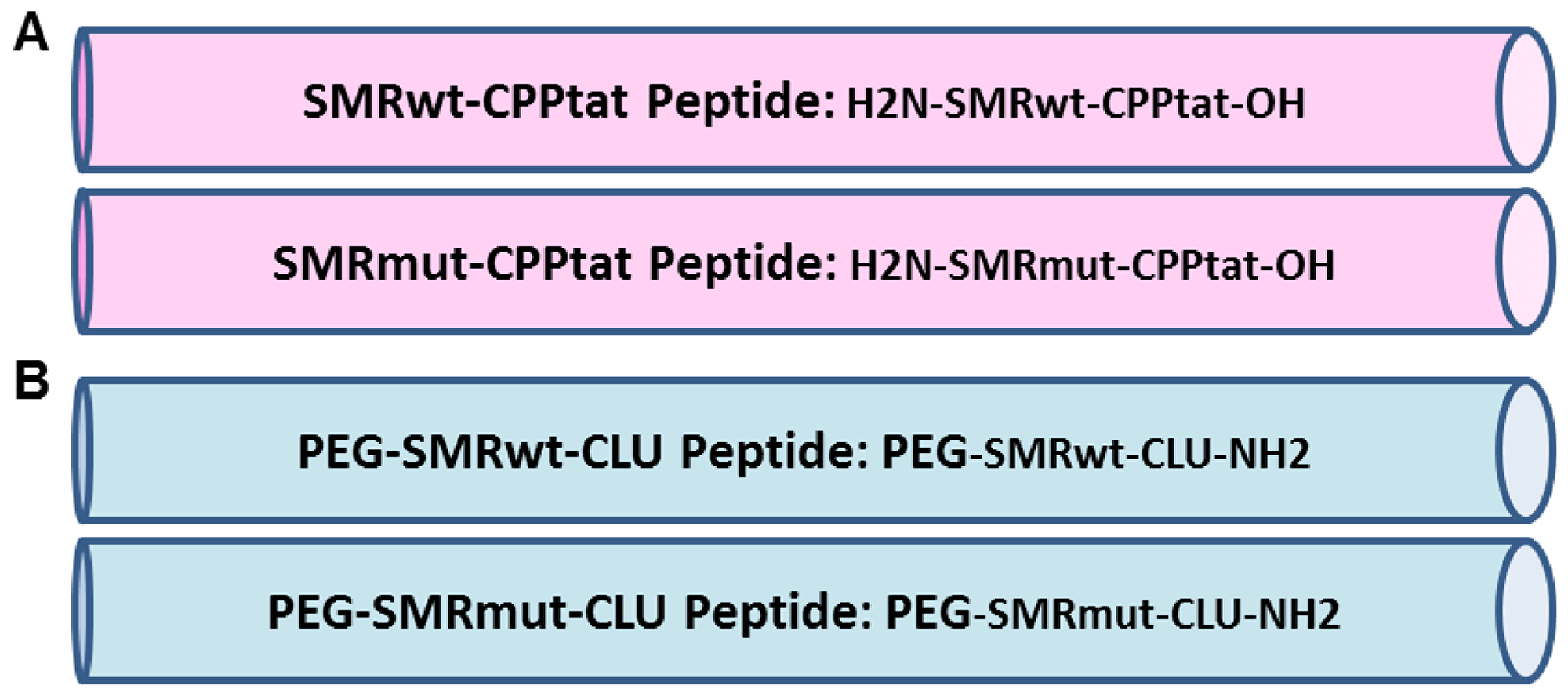 Development of SMR peptides antagonist for cancer cells.