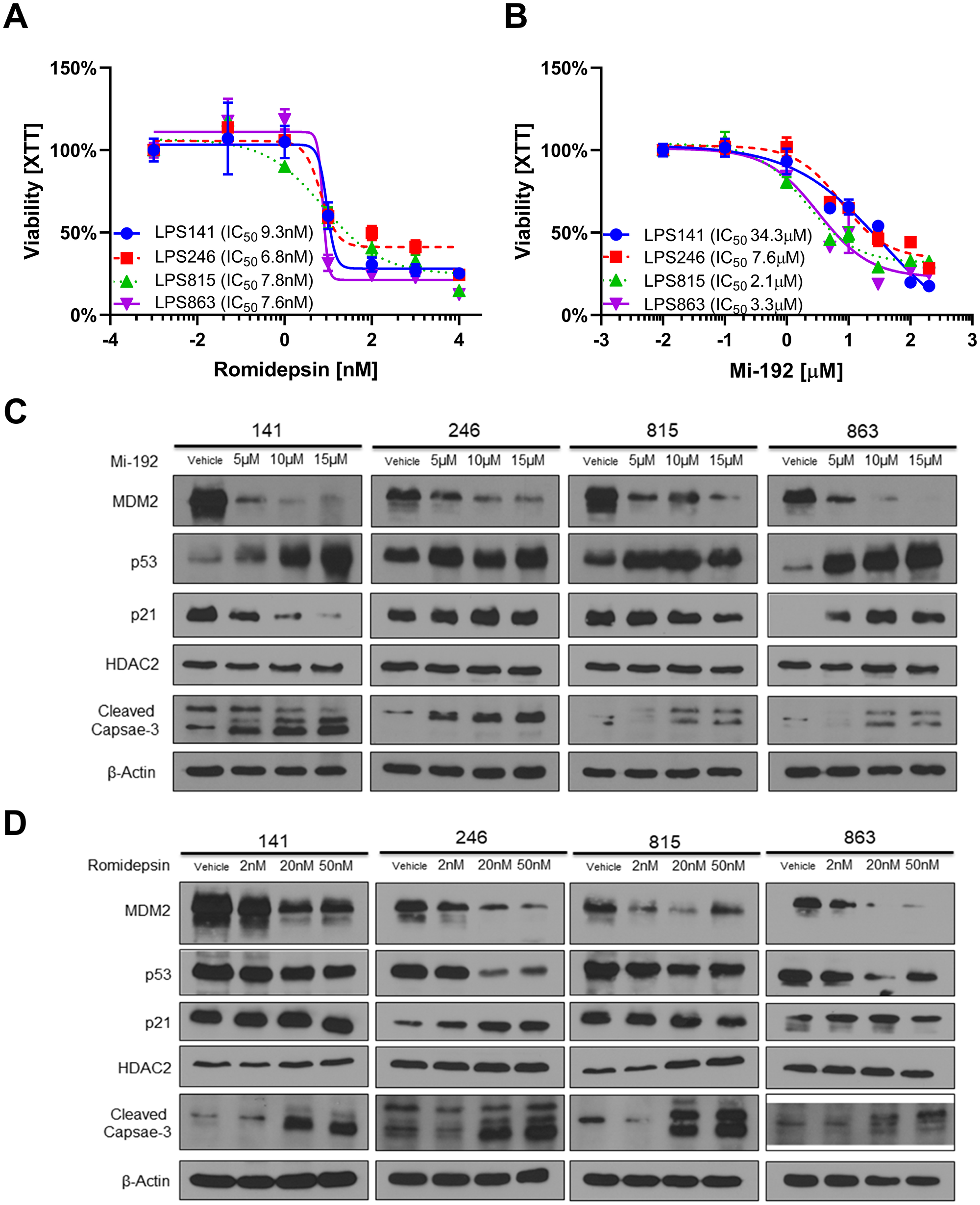 HDAC2 inhibitors reduce MDM2 expression in in vitro models of DDLPS.