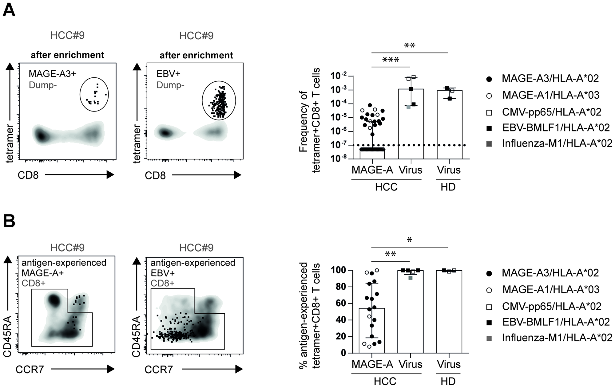 Frequencies of circulating antigen-experienced virus-specific CD8+ T cells are comparable in healthy donors and HCC patients.