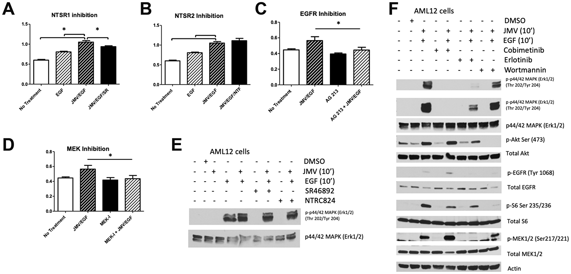 Effect of inhibitors on JMV/EGF-induced proliferation in AML12 cells.