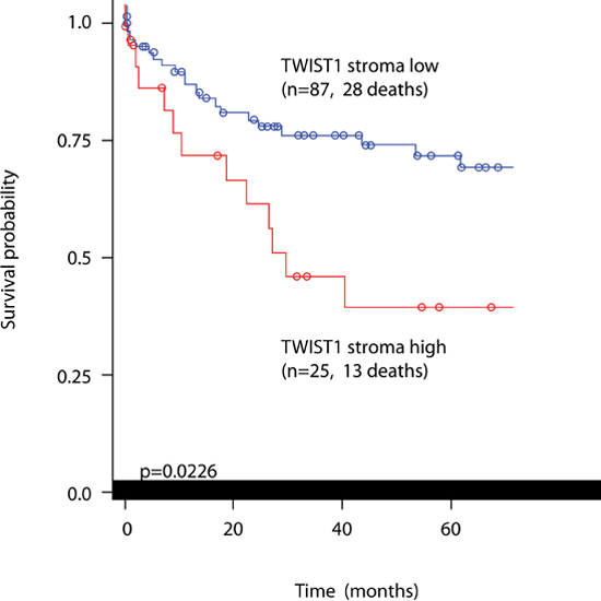 Kaplan-Meier curve showing prognostic differences in patients with low or high TWIST1 stromal cell expression.
