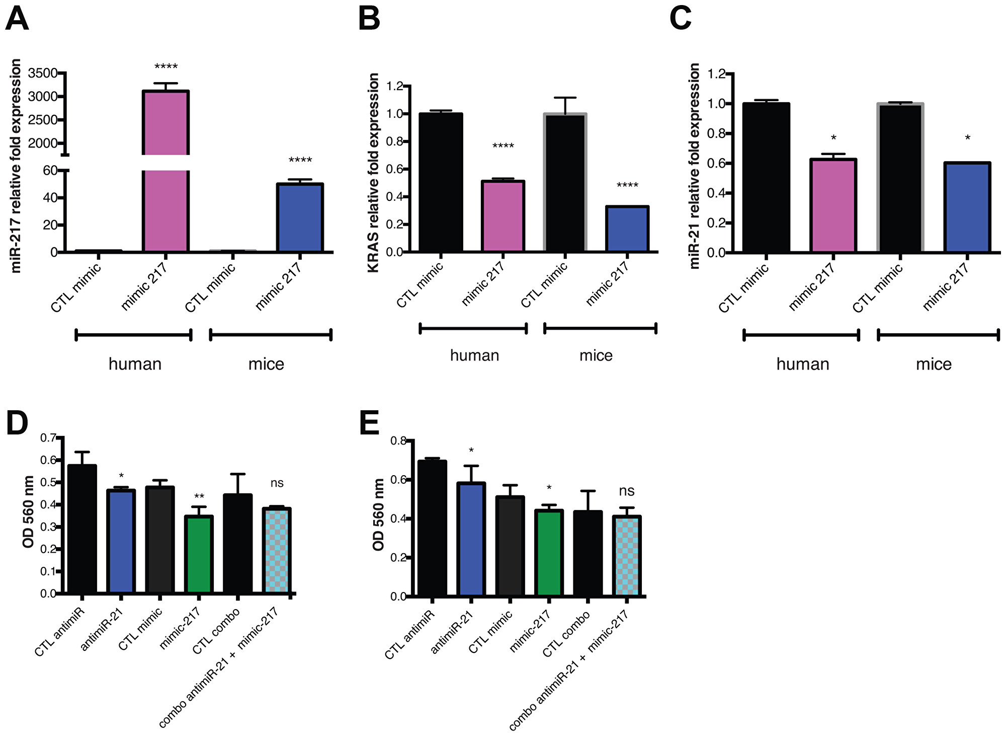 Reintroduction of miR-217 act as a tumor suppressor targeting KRAS in PDAC.