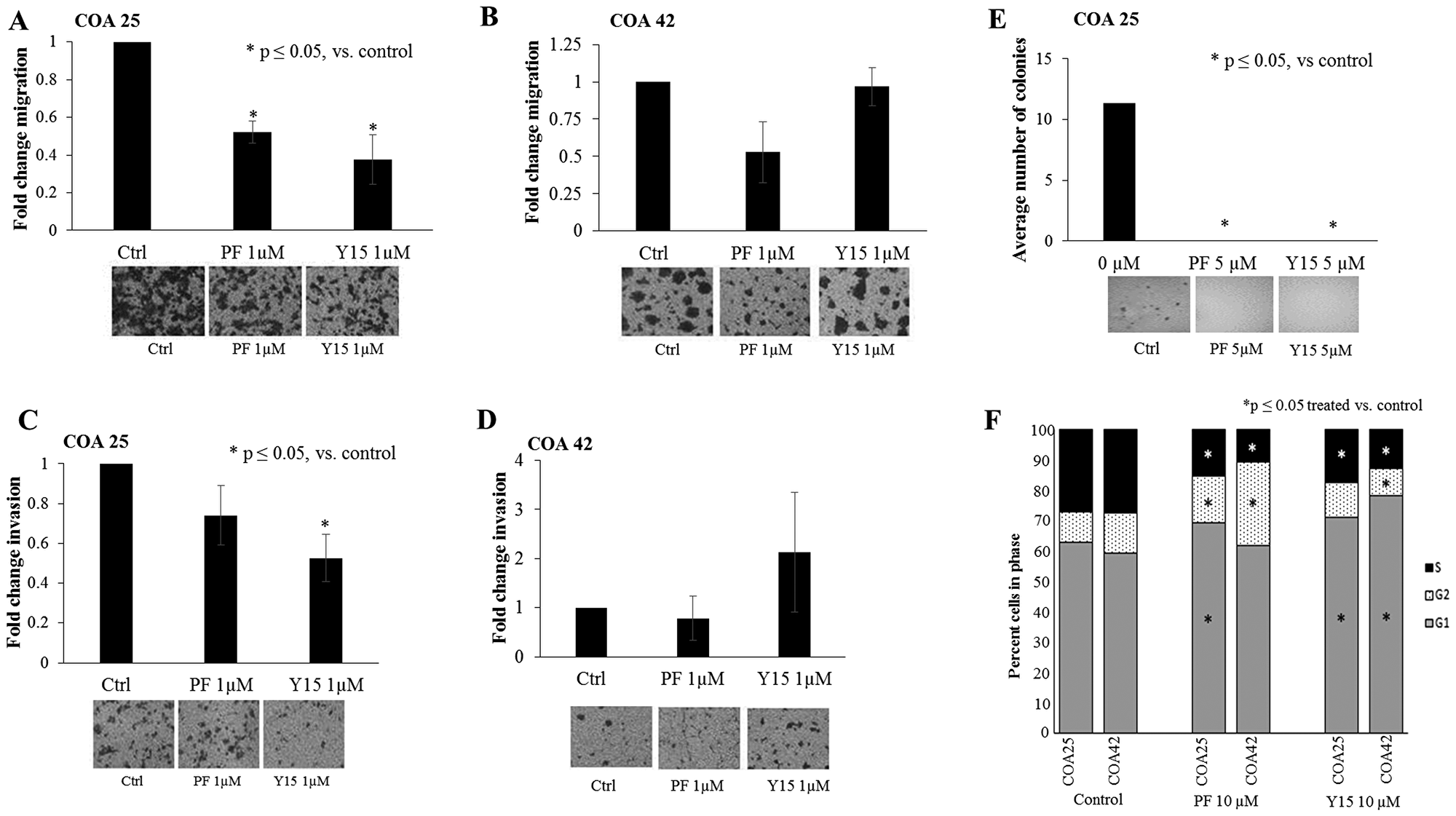 PF-573,228 (PF) and 1,2,4,5-benzenetetraamine tetrahydrochloride (Y15) inhibition of FAK decreased cell migration, invasion, and attachment-independent growth in COA 25 cells.