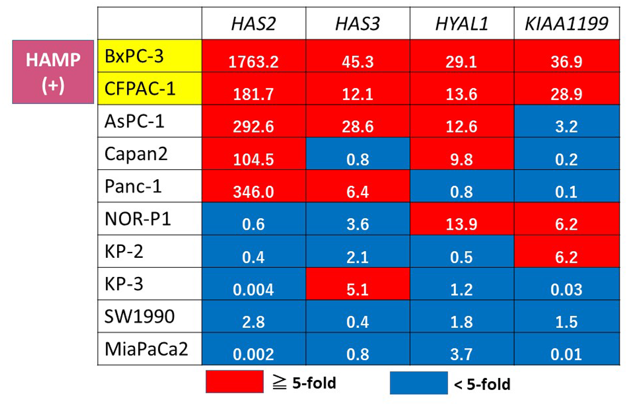 Gene expression profiling of HA metabolism genes in PDAC cell lines.