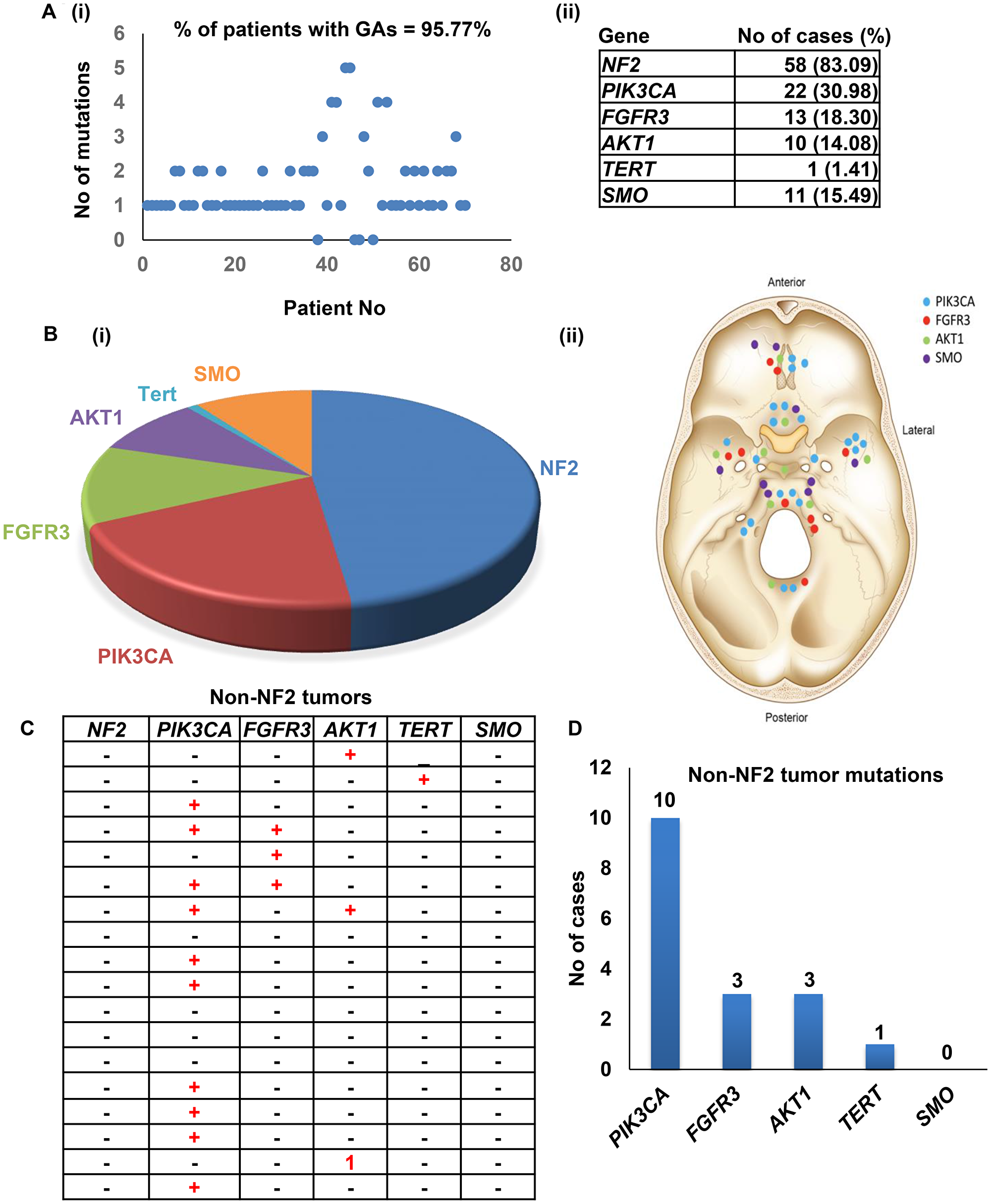 Meningioma mutations identified in the study.