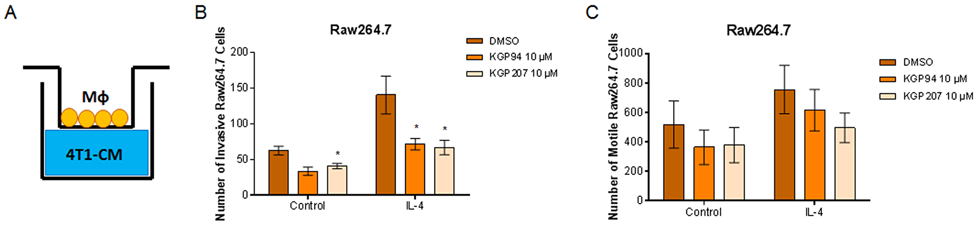 KGP94 and KGP207 reduce macrophage invasion.